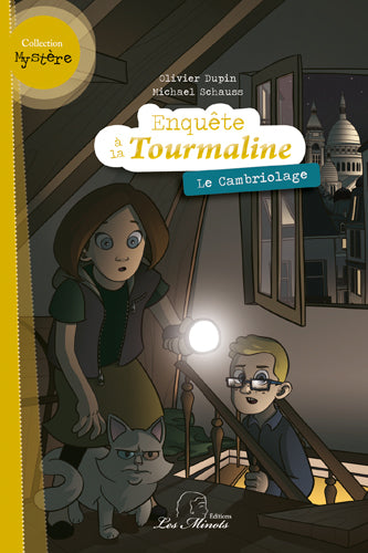 Enquête à la Tourmaline. Le cambriolage book