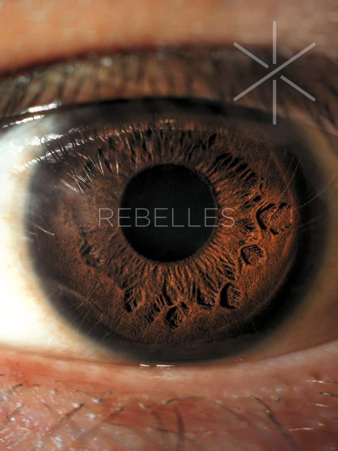Rebelles: Festival International des Textiles Extra ordinaires book