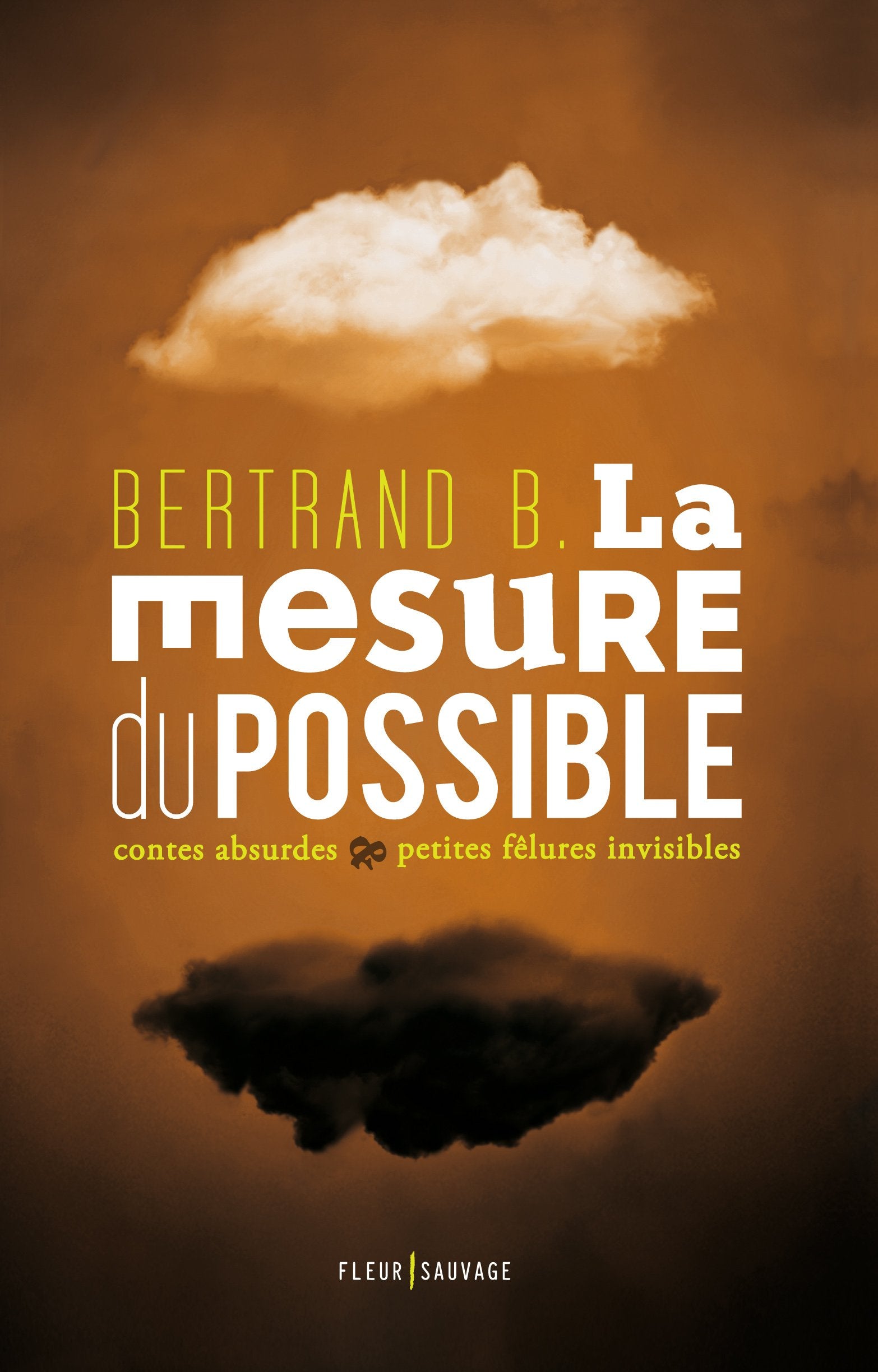 La mesure du possible: Contes absurdes & petites fêlures invisibles book