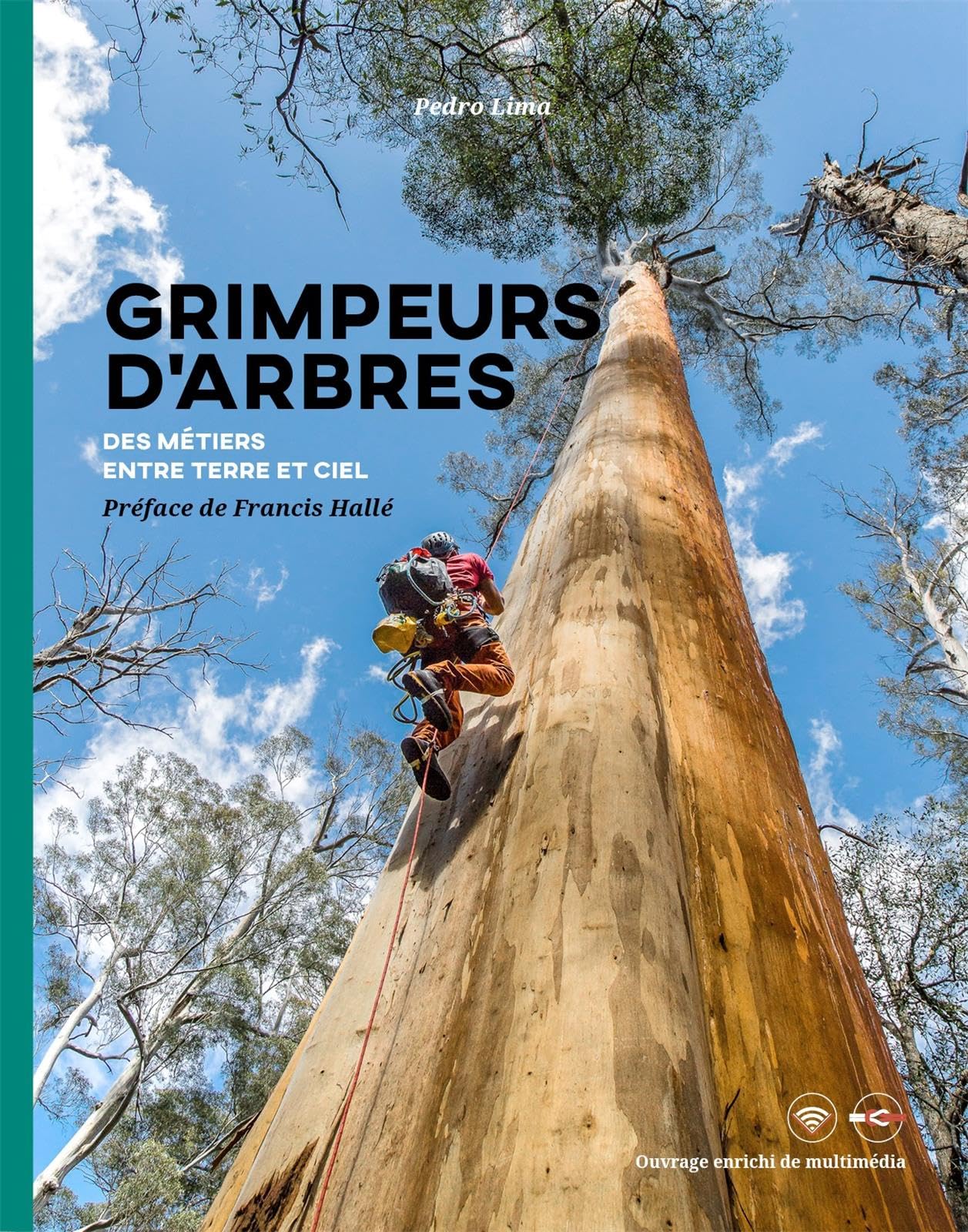 Grimpeurs d'arbres - Suspendus entre ciel et terre Politics & History