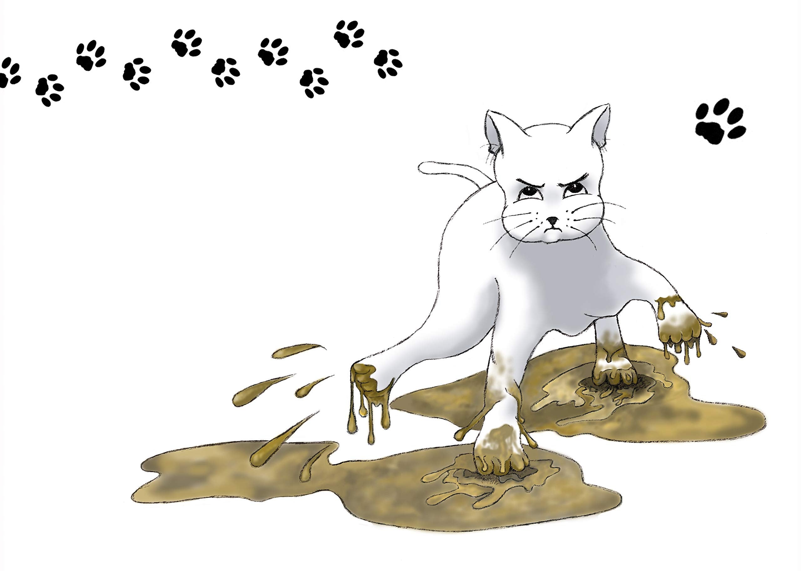 Chalou et la pluie: Le chat qui n'aimait pas la pluie book