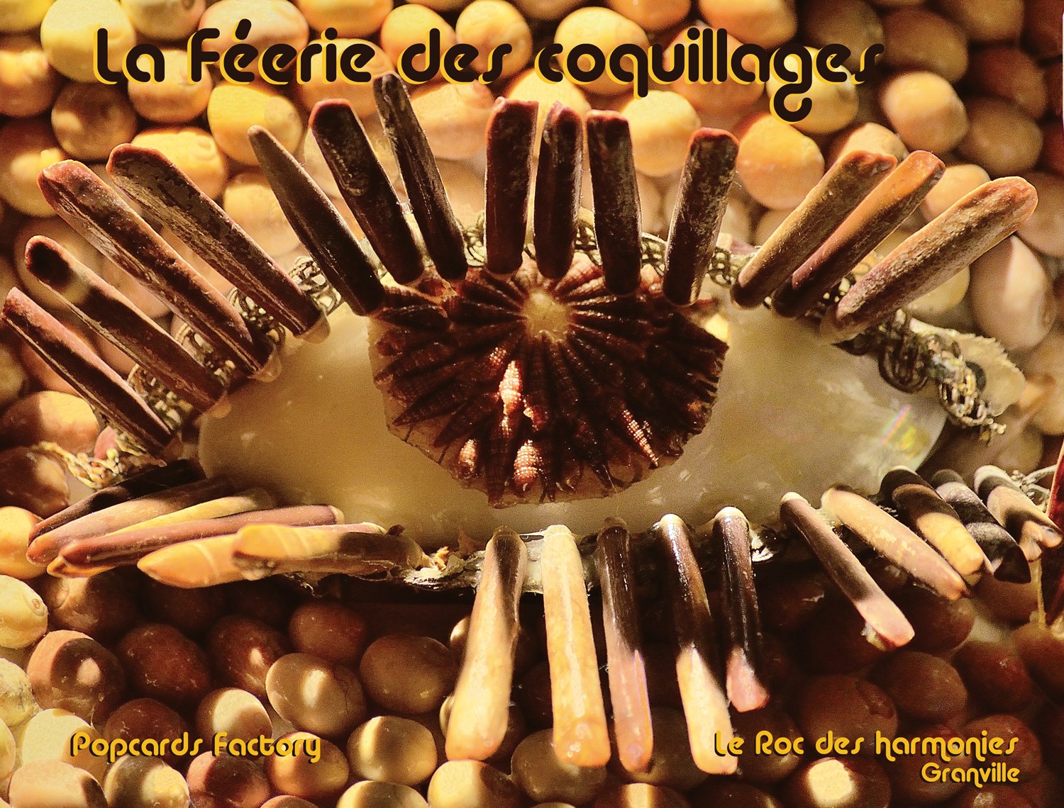 La féerie des coquillages book