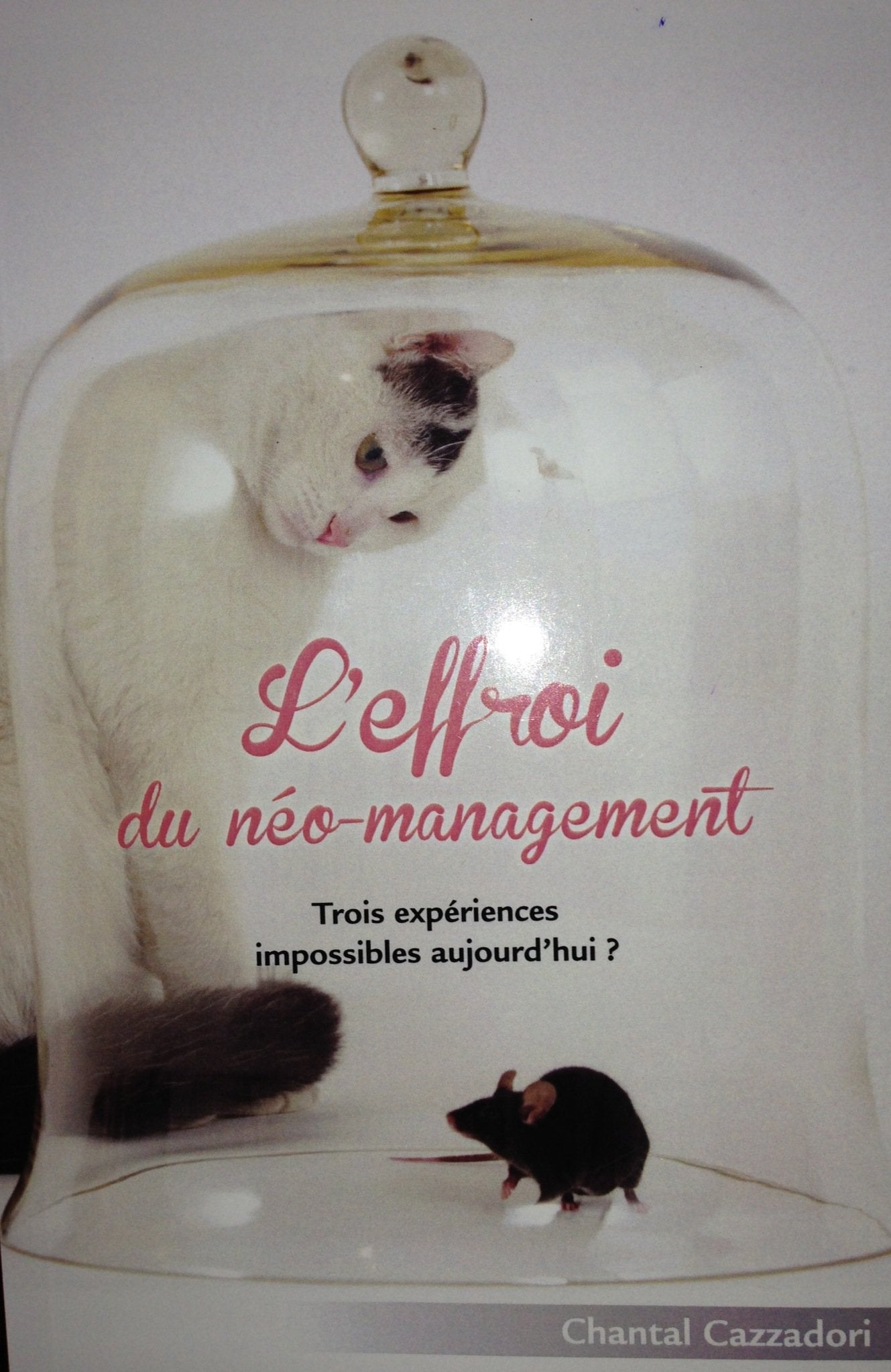 L'effroi du néo-management Trois expériences impossibles aujourd'hui? Books