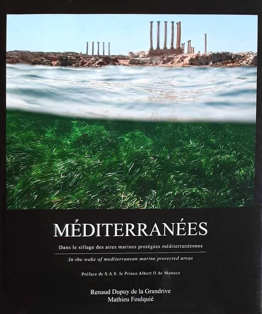 Méditerranées : Dans le sillage des aires marines protégèes méditerranéennes (Préface de S.A.S. le Prince Albert II de Monaco) book