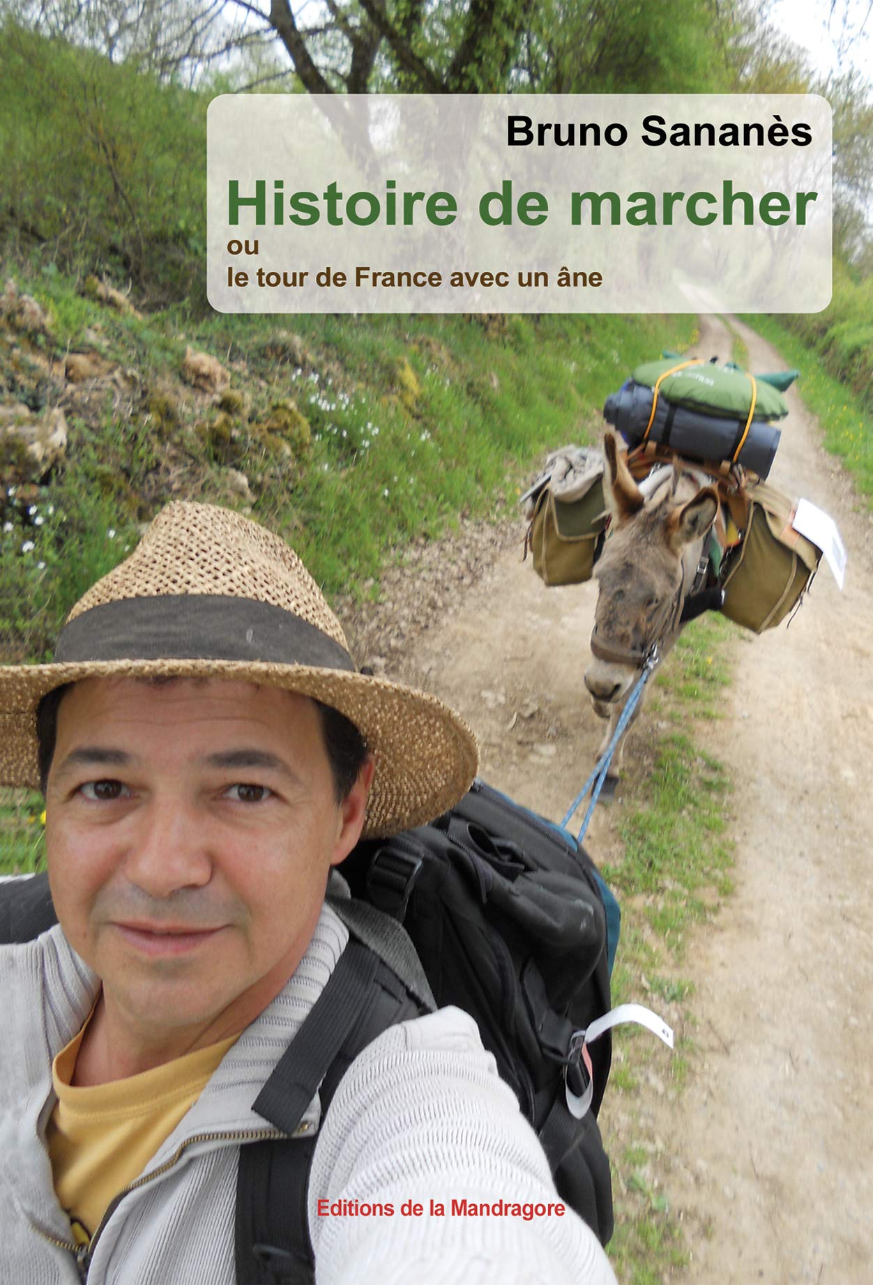 Histoire de marcher ou le tour de France avec un âne Contemporary literature