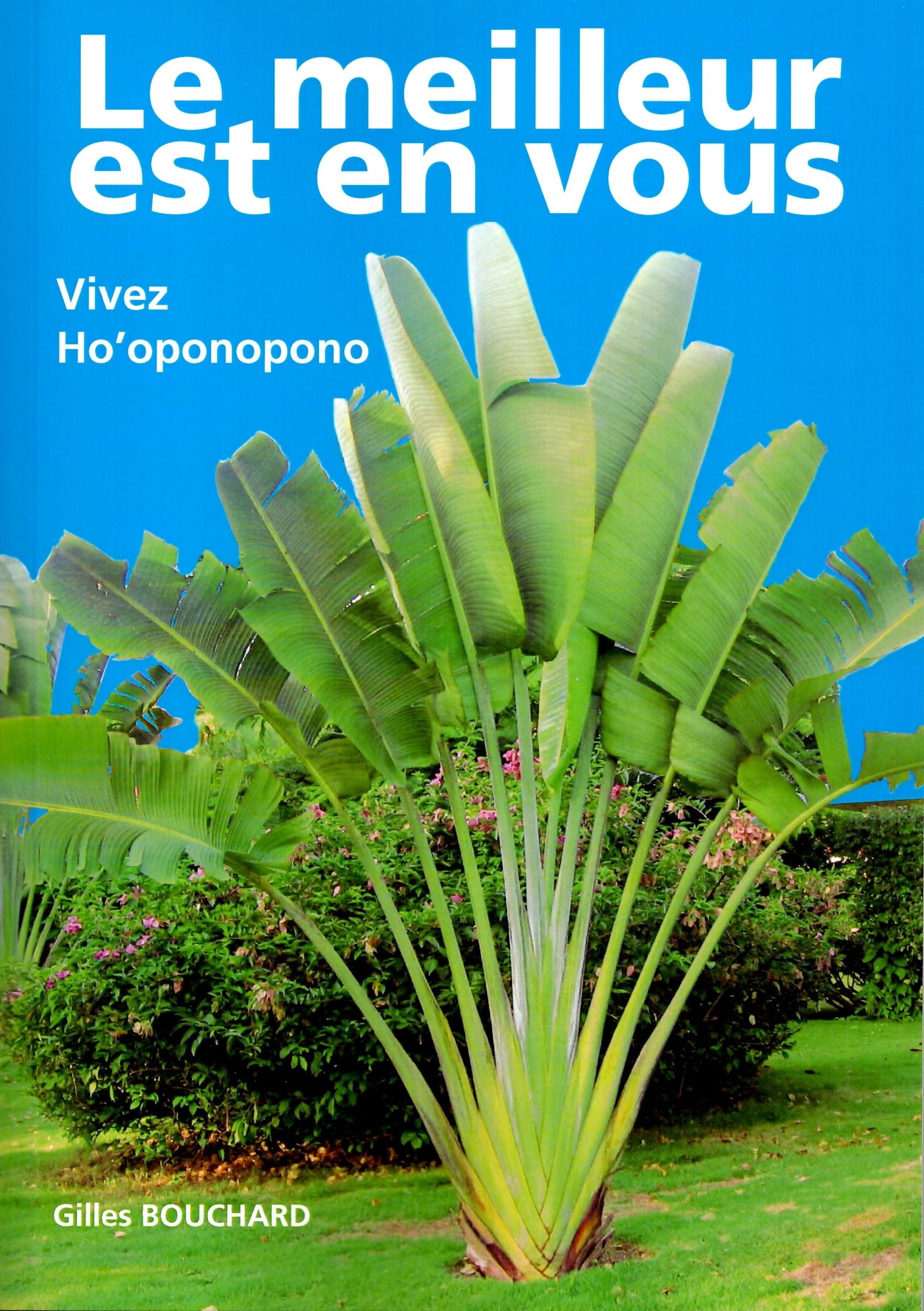 LE MEILLEUR EST EN VOUS - VIVEZ HOPONOPONO book