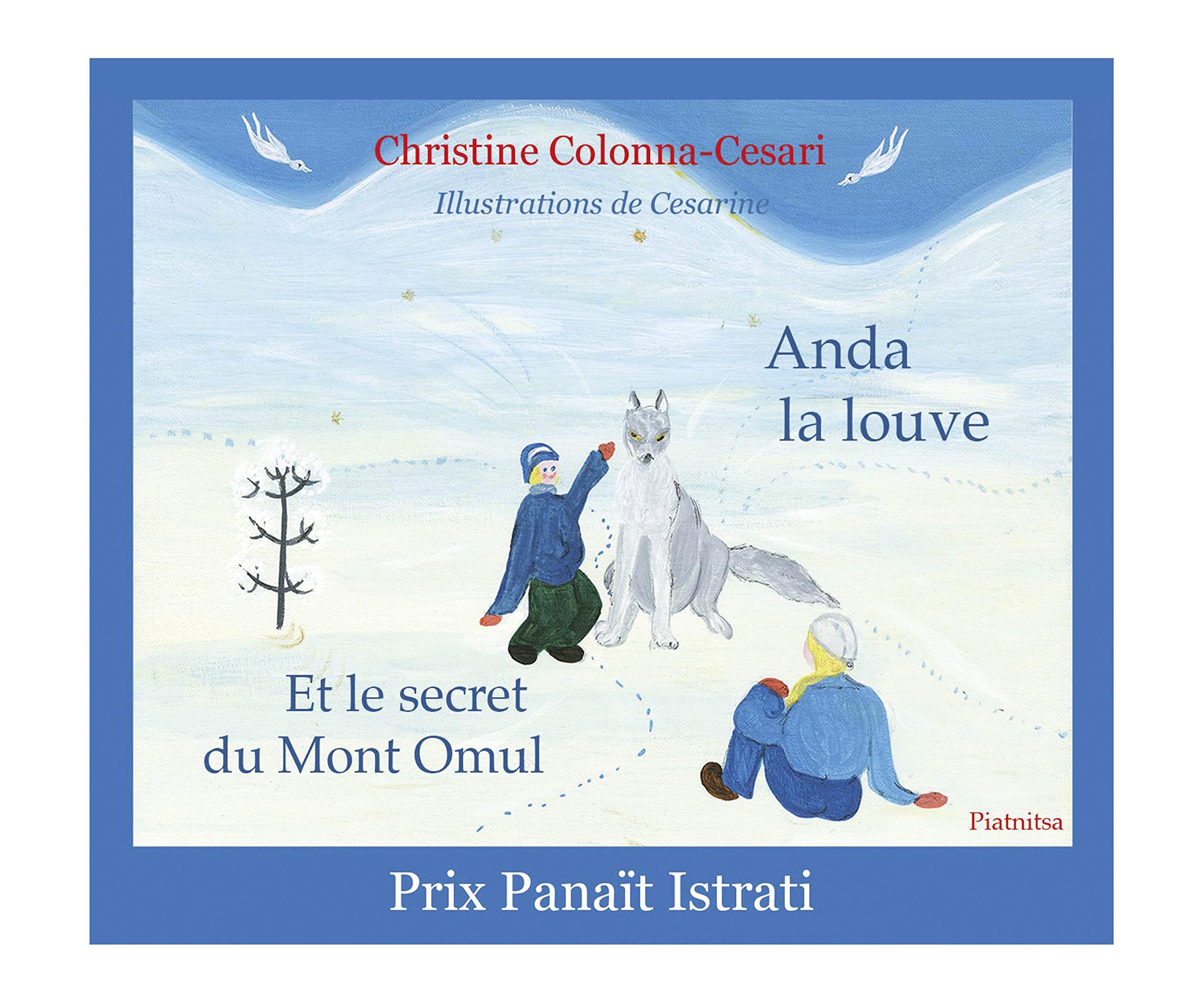 Anda la louve et le secret du Mont Omul book