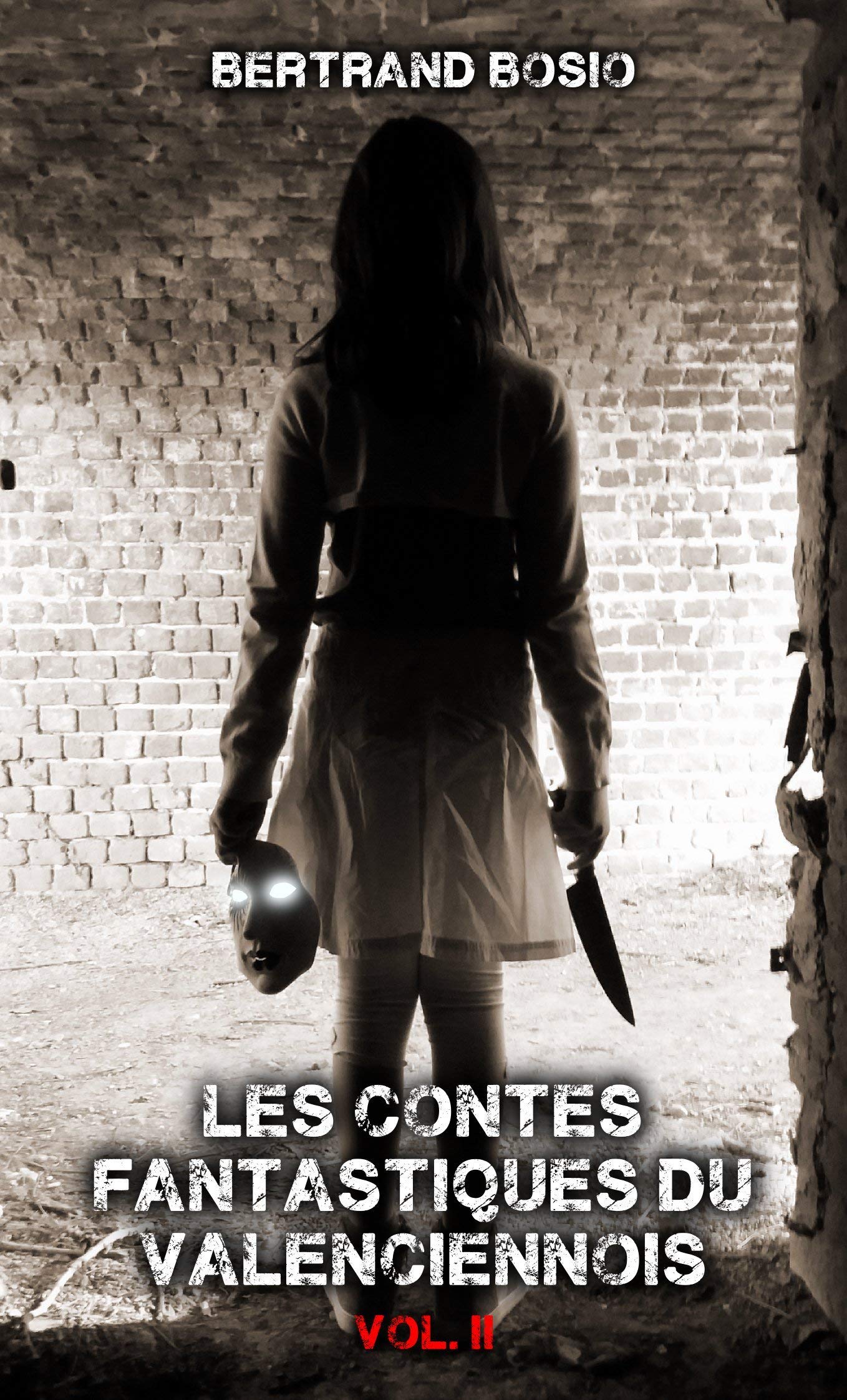 Les contes fantastiques du Valenciennois vol II Books