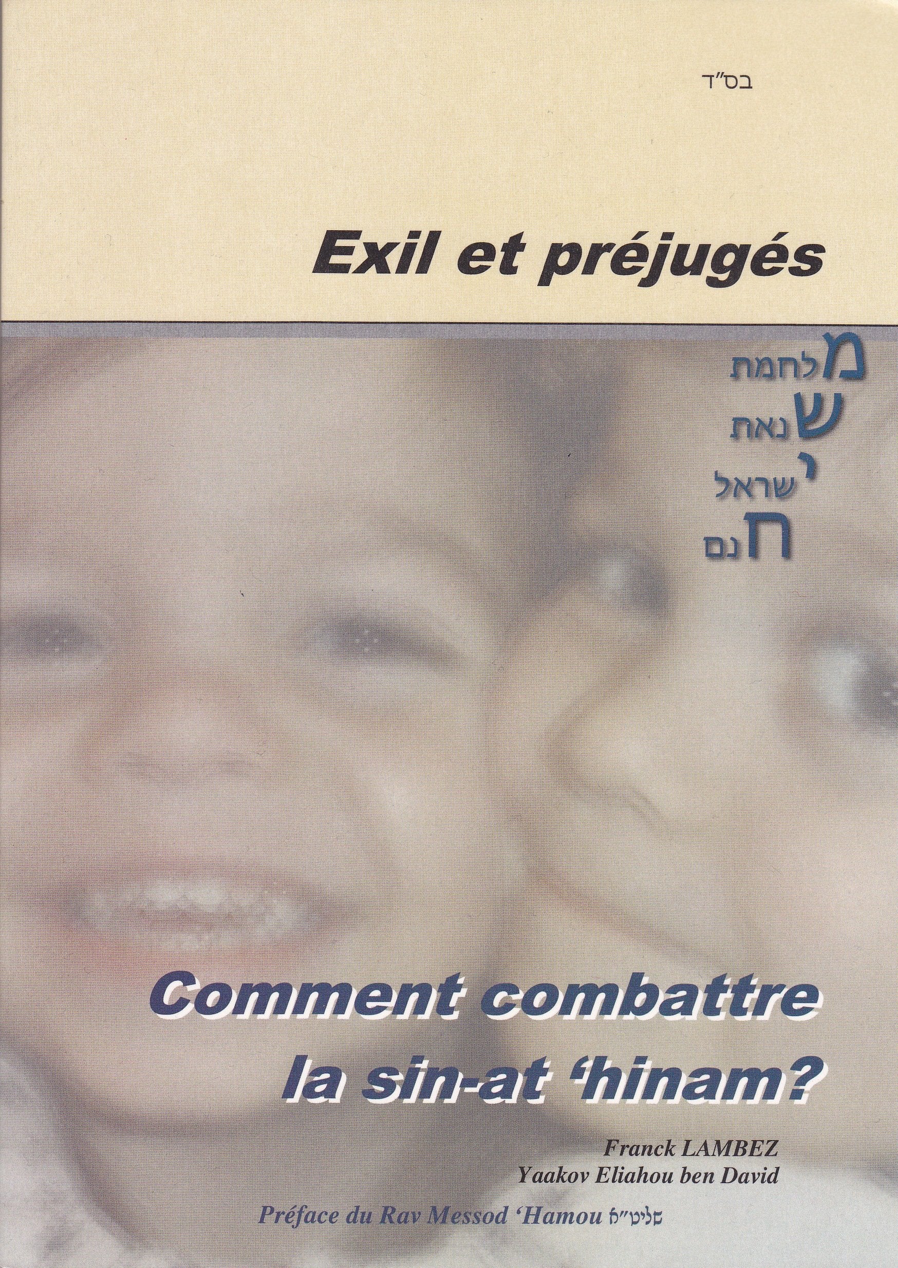 Exil et préjugés - Comment combattre la sin-at 'hinam? book