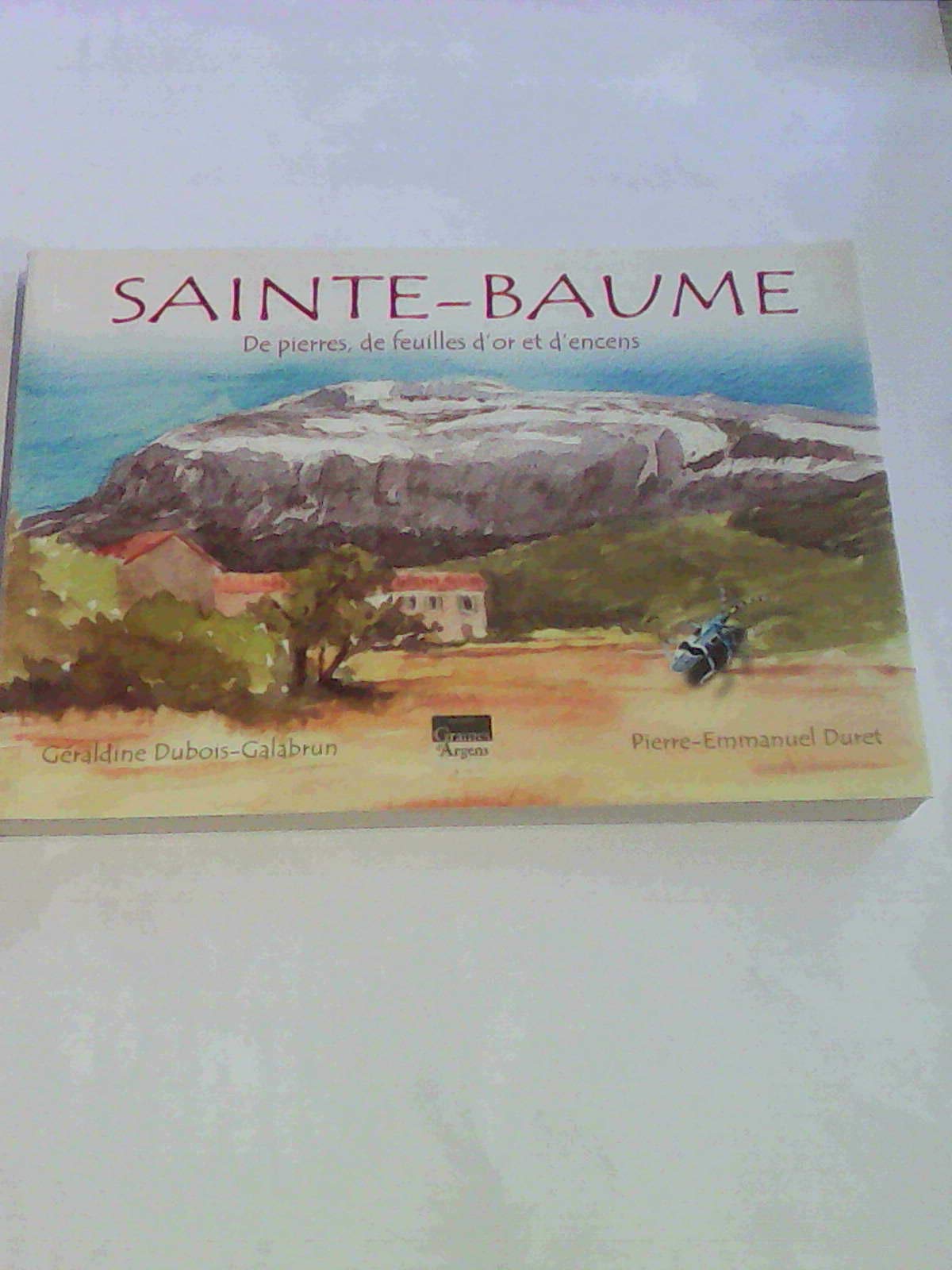 Sainte baume: De pierres, de feuilles, d'or et d'encens book
