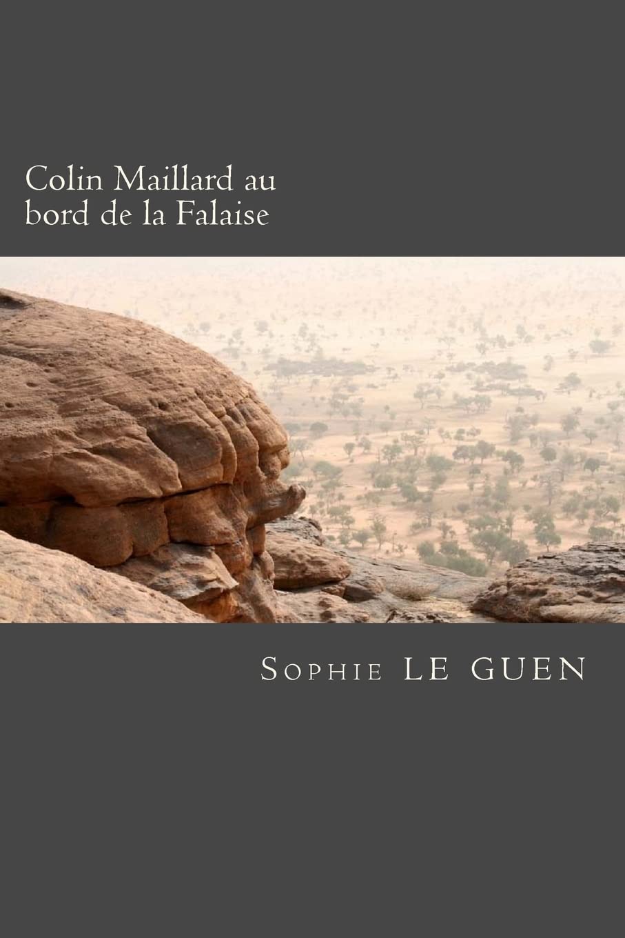 Colin Maillard au bord de la Falaise Books