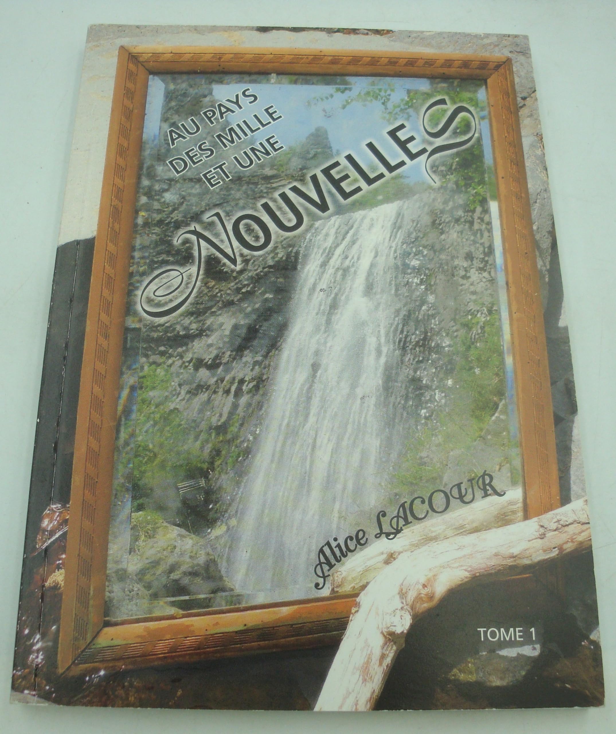 Au pays des mille et une nouvelles, Tome 1 : Books