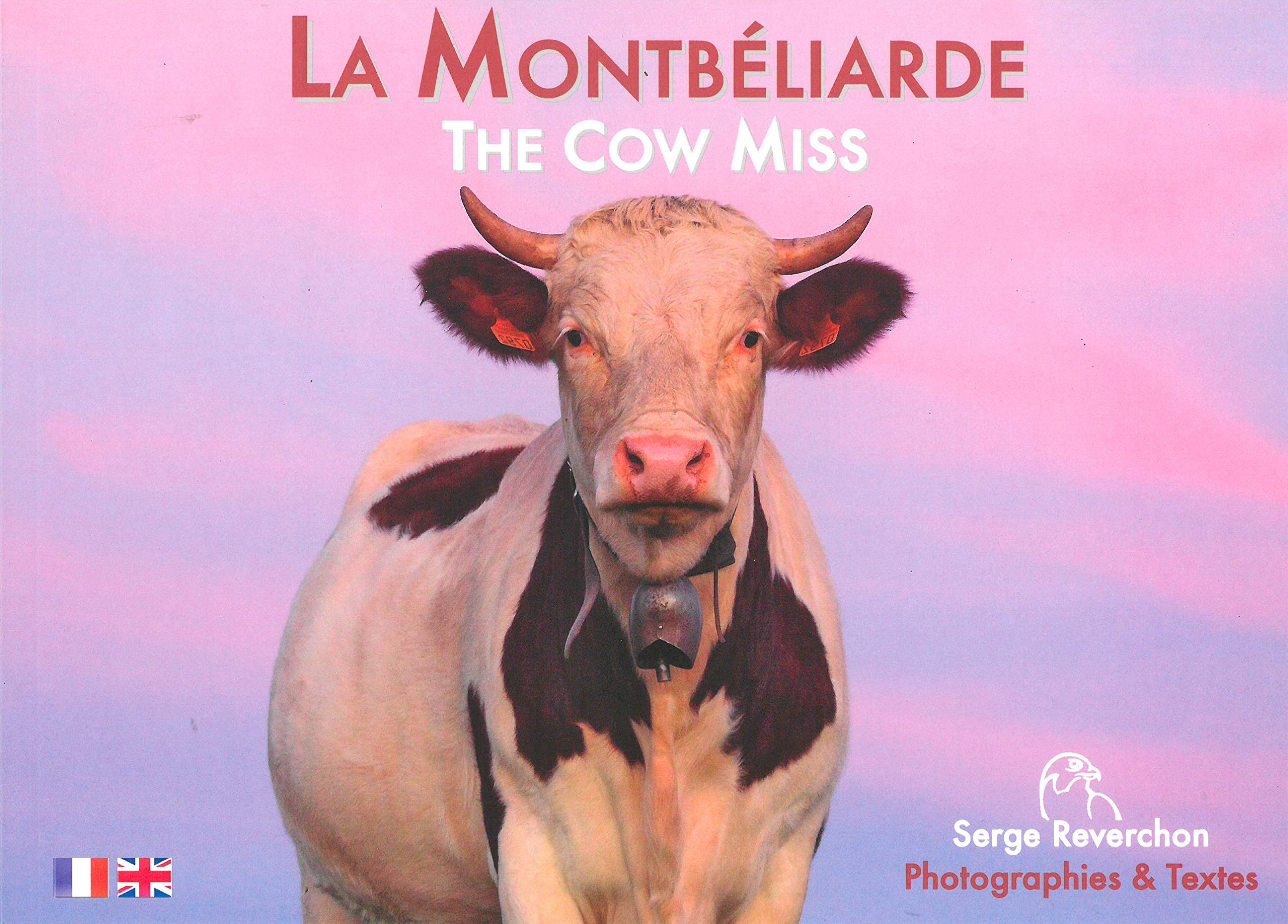 La Montbéliarde - The Cow Miss Books