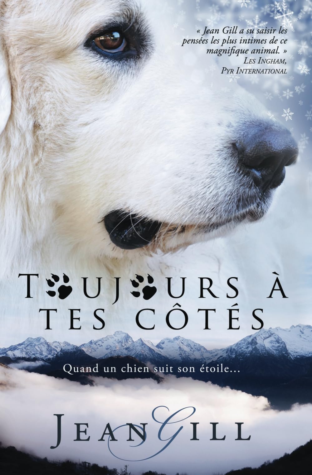 Toujours à tes côtés: Quand un chien suit son étoile Mathematics