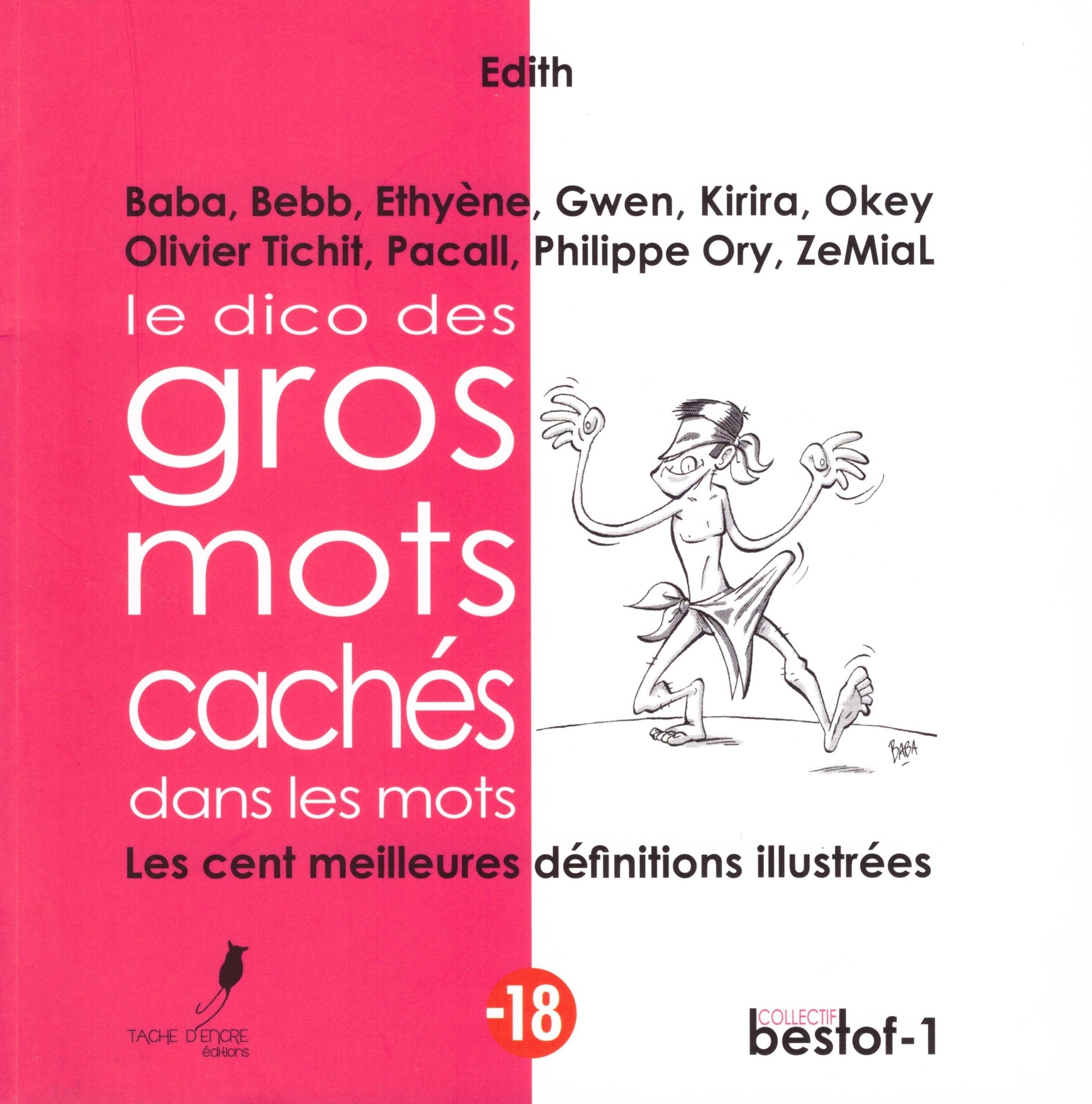 Le Dico Des Gros Mots Cachés Dans Les Mots, Les Cent Meilleures Définitions Illustrées, 2014 Books