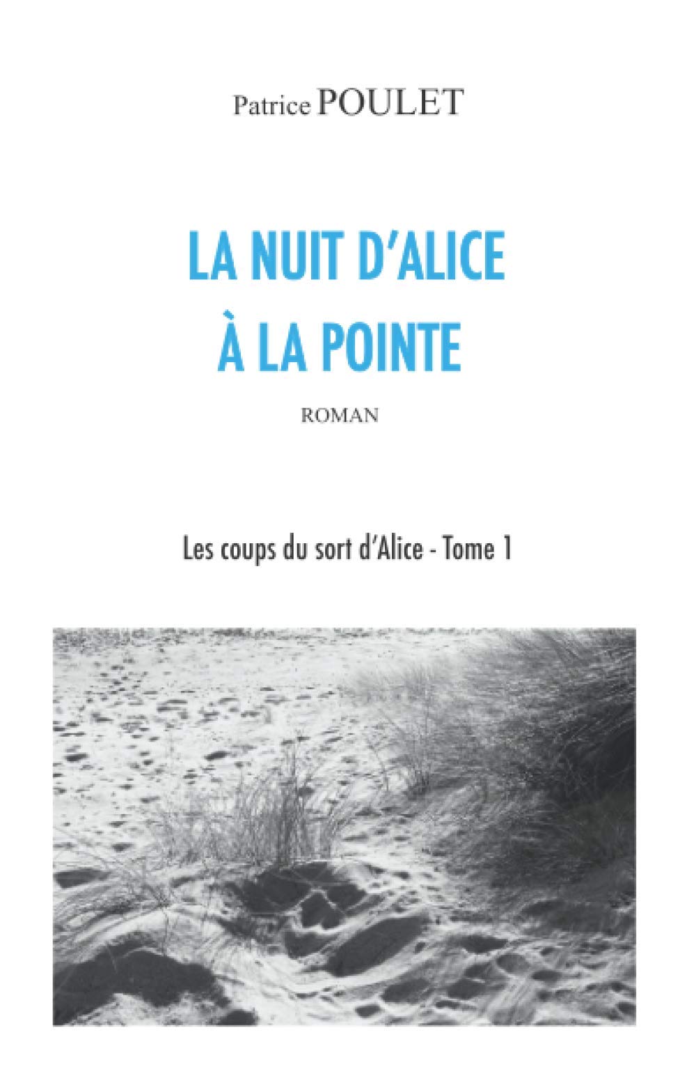 Poulet, P: FRE-NUIT DALICE A LA POINTE Contemporary literature