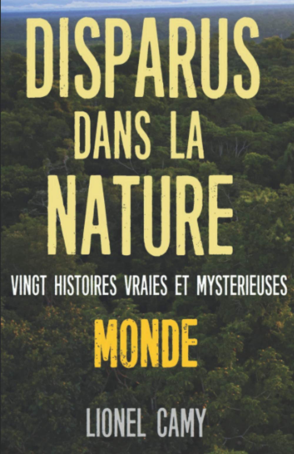 DISPARUS DANS LA NATURE : Vingt histoires vraies et mystérieuses (MONDE) Horror & Mystery