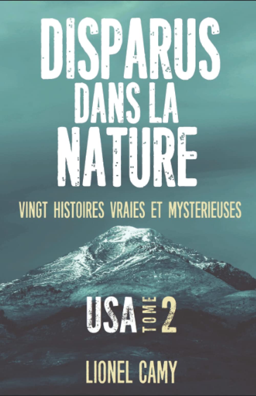 DISPARUS DANS LA NATURE : Vingt histoires vraies et mystérieuses (USA) - Tome 2 Politics & Society