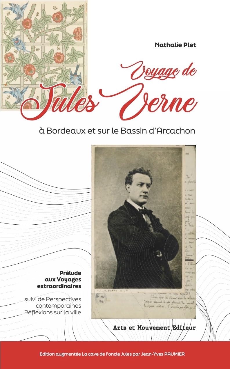 Voyage de Jules Verne: à Bordeaux et sur le Bassin d'Arcachon book