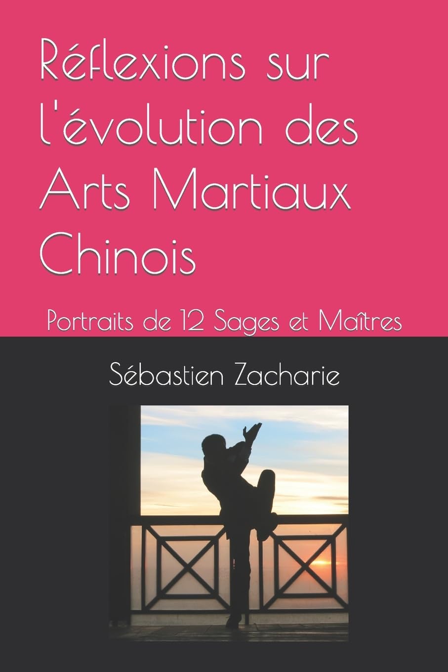 Réflexions sur l'évolution des Arts Martiaux Chinois: Portraits de 12 Sages et Maîtres book