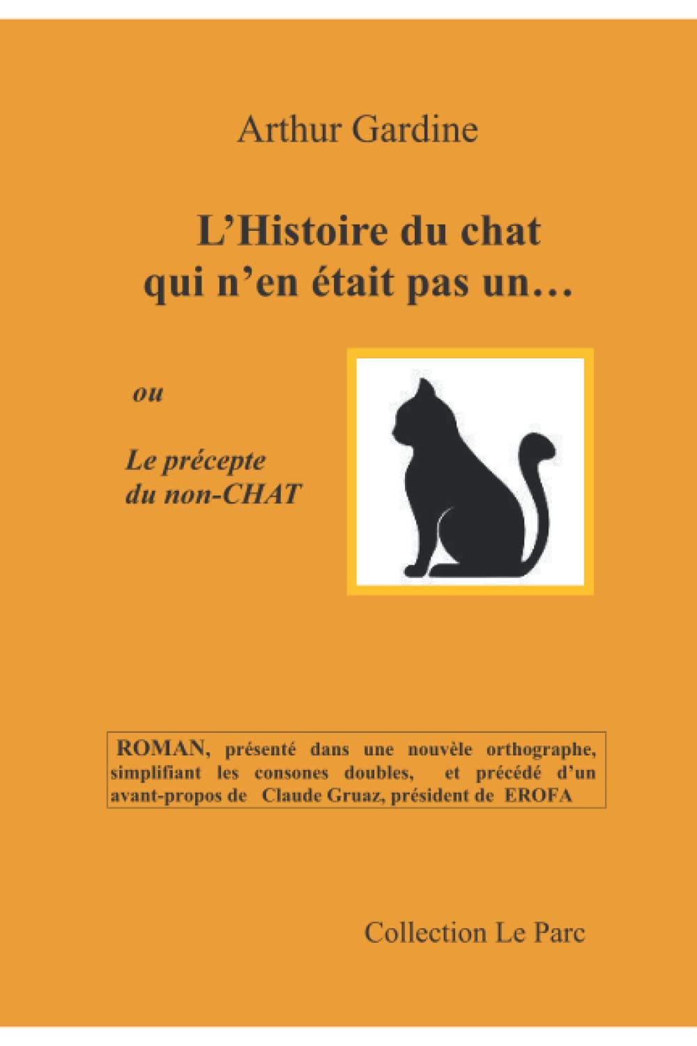 L'histoire du chat qui n'en était pas un: Le précepte du non-chat book