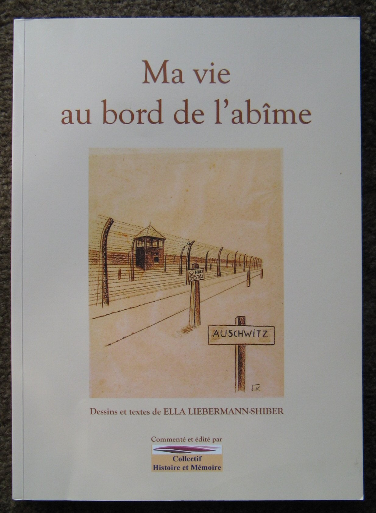 Ma Vie Au Bord De L'Abîme book