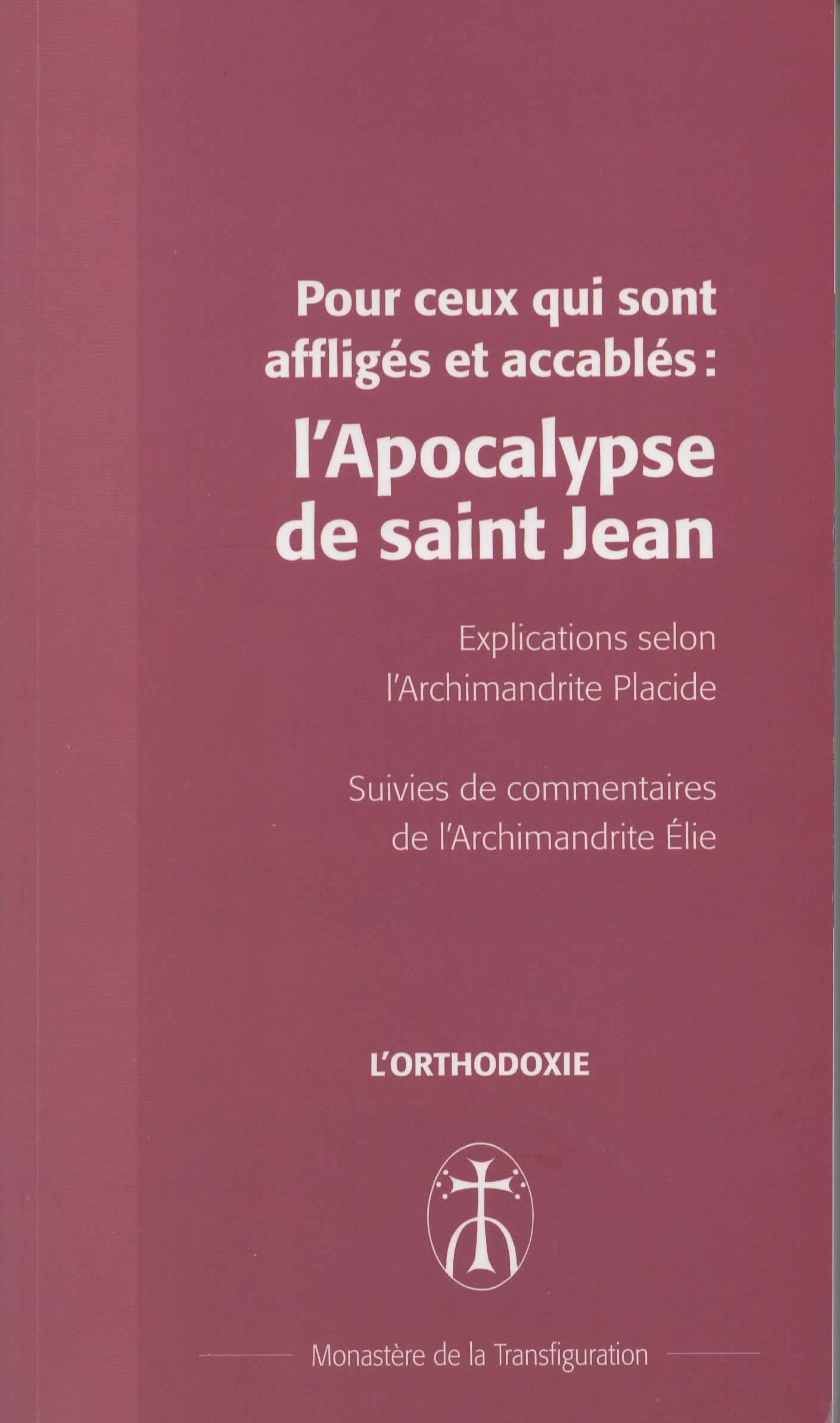 Pour ceux qui sont affligés et accablés : l'Apocalypse de Saint Jean: Pour ceux qui sont affligés et accablés : l'Apocalypse de Saint Jean book