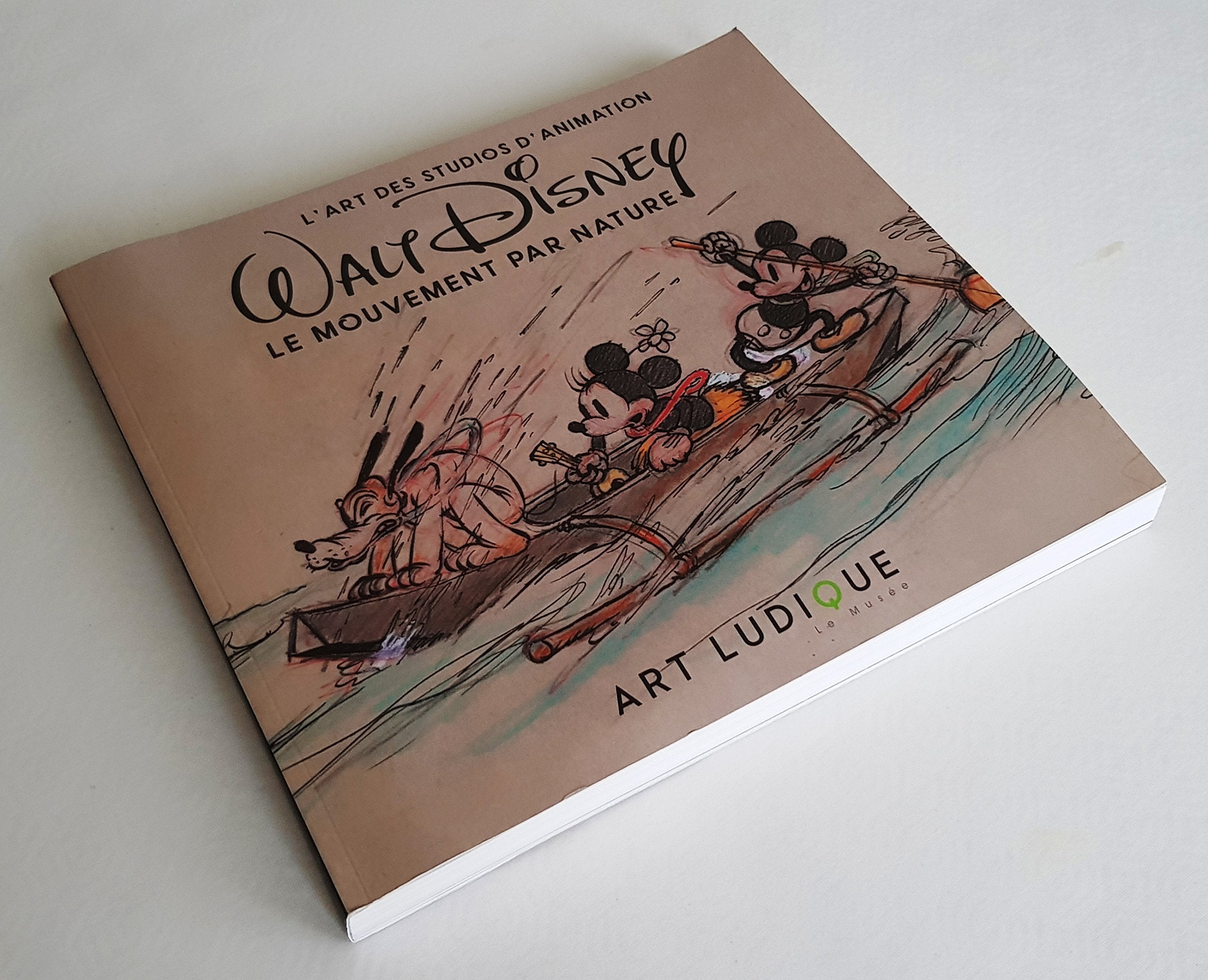 L'art des studios d'animation : Walt Disney le mouvement par nature Books