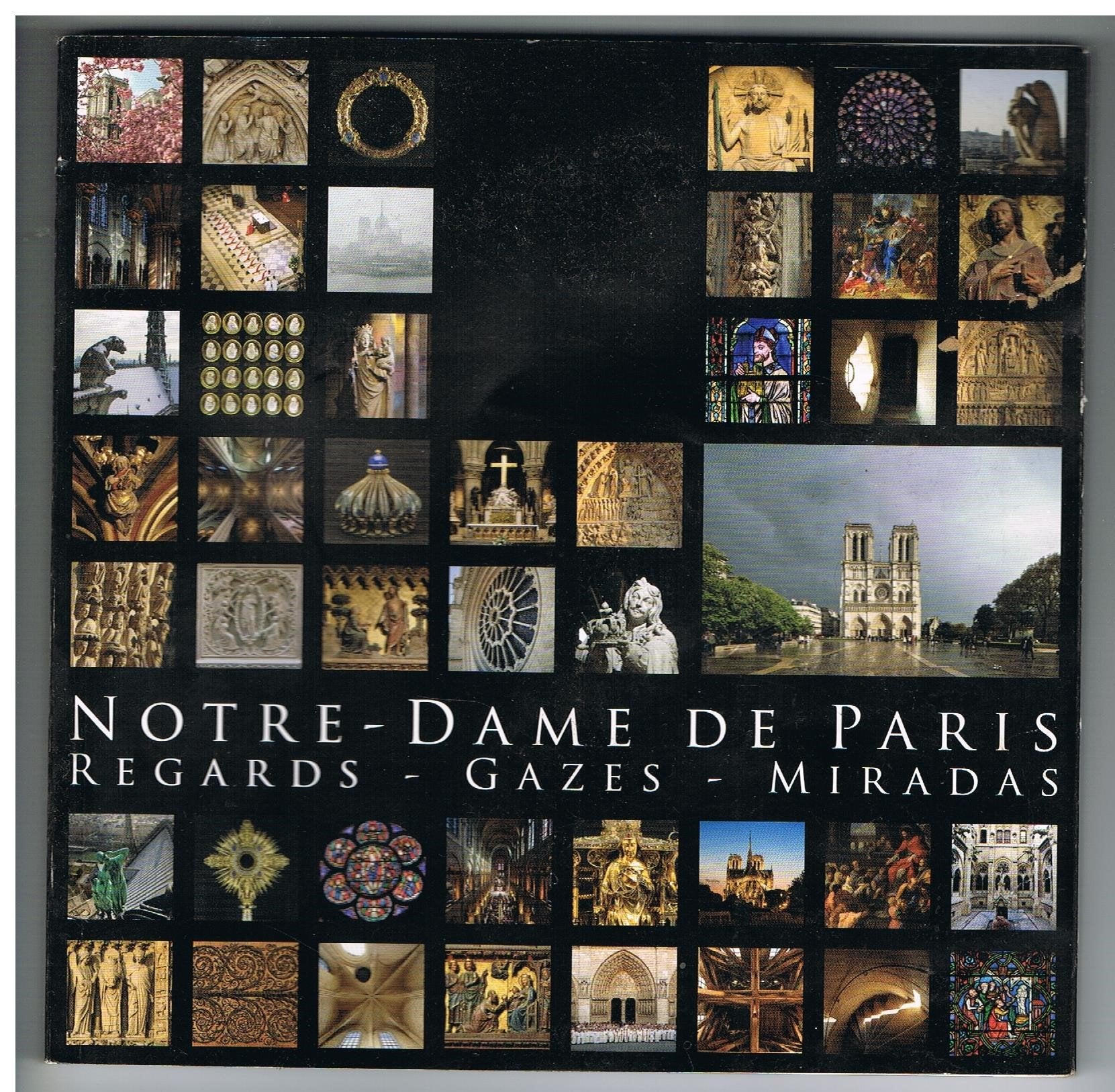 Notre-Dame de Paris, Regards, Gazes, Miradas, par Pascal Lemaître, Association Maurice de Sully book