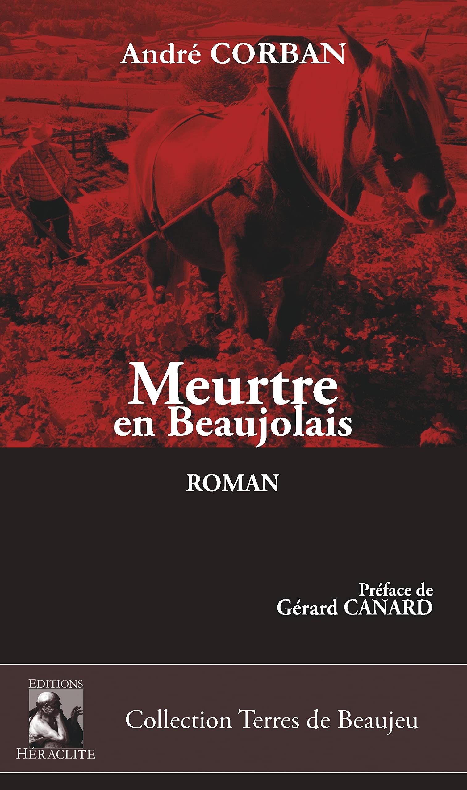 Meurtre en Beaujolais Historical Fiction