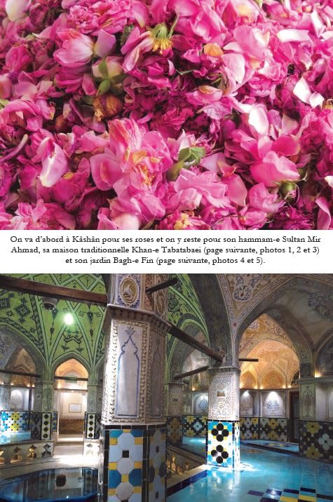 Au coeur de l'Iran book