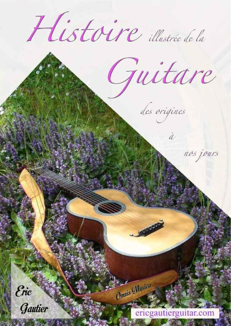 Histoire illustrée de la guitare des origines à nos jours (broché) book