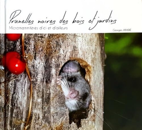 Prunelles noires des bois et jardins micromammiferes d'ici et d'ailleurs book