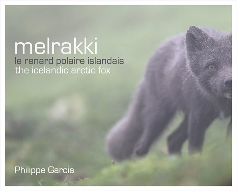 Melrakki, le renard polaire Islandais book
