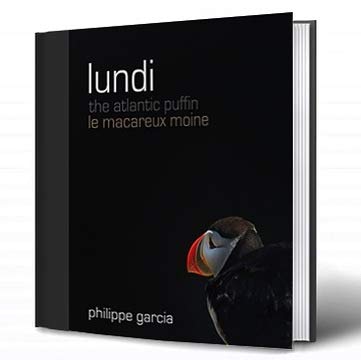 Lundi, le macareux moine islandais book