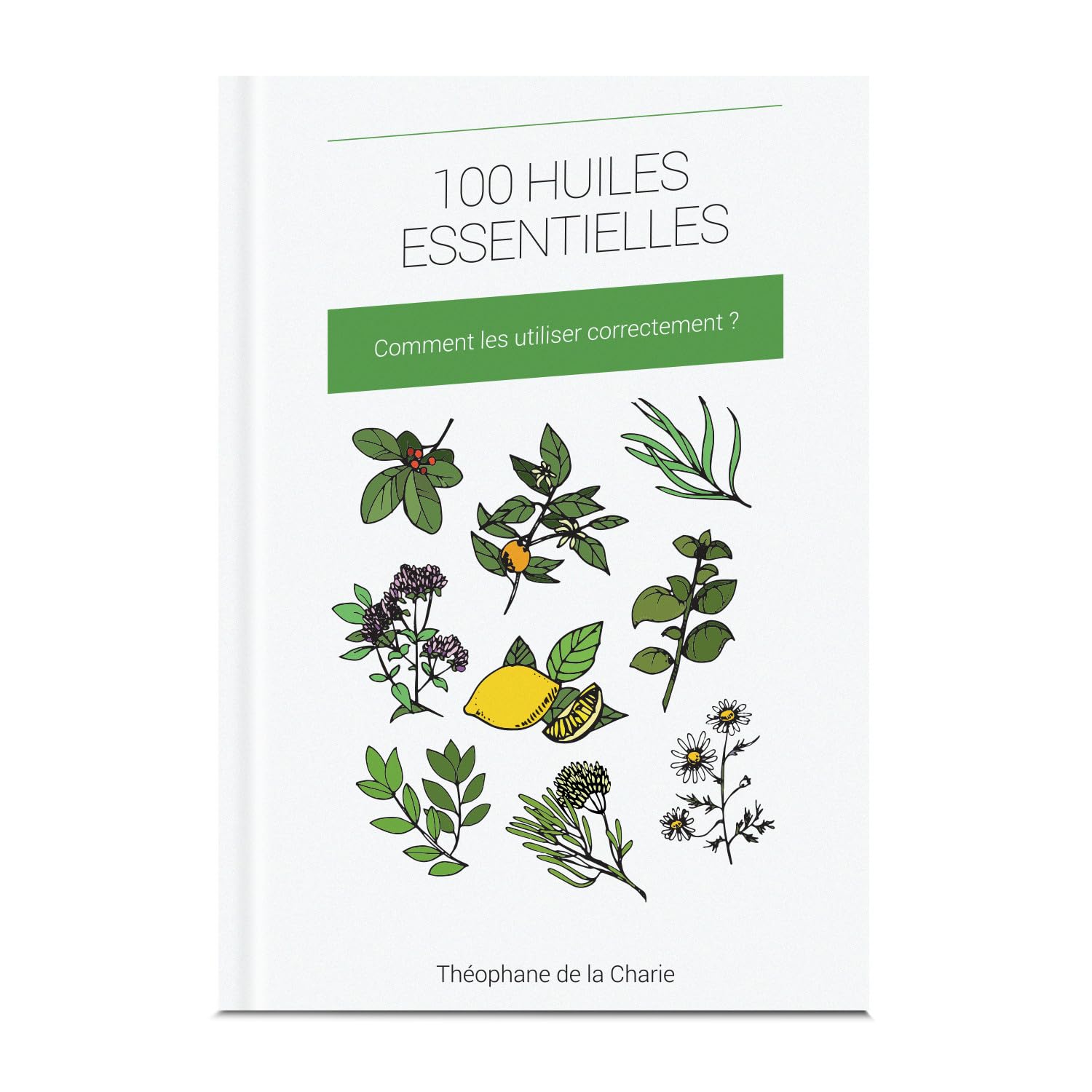 La Compagnie des Sens - Petit Guide des huiles essentielles vegetales Books