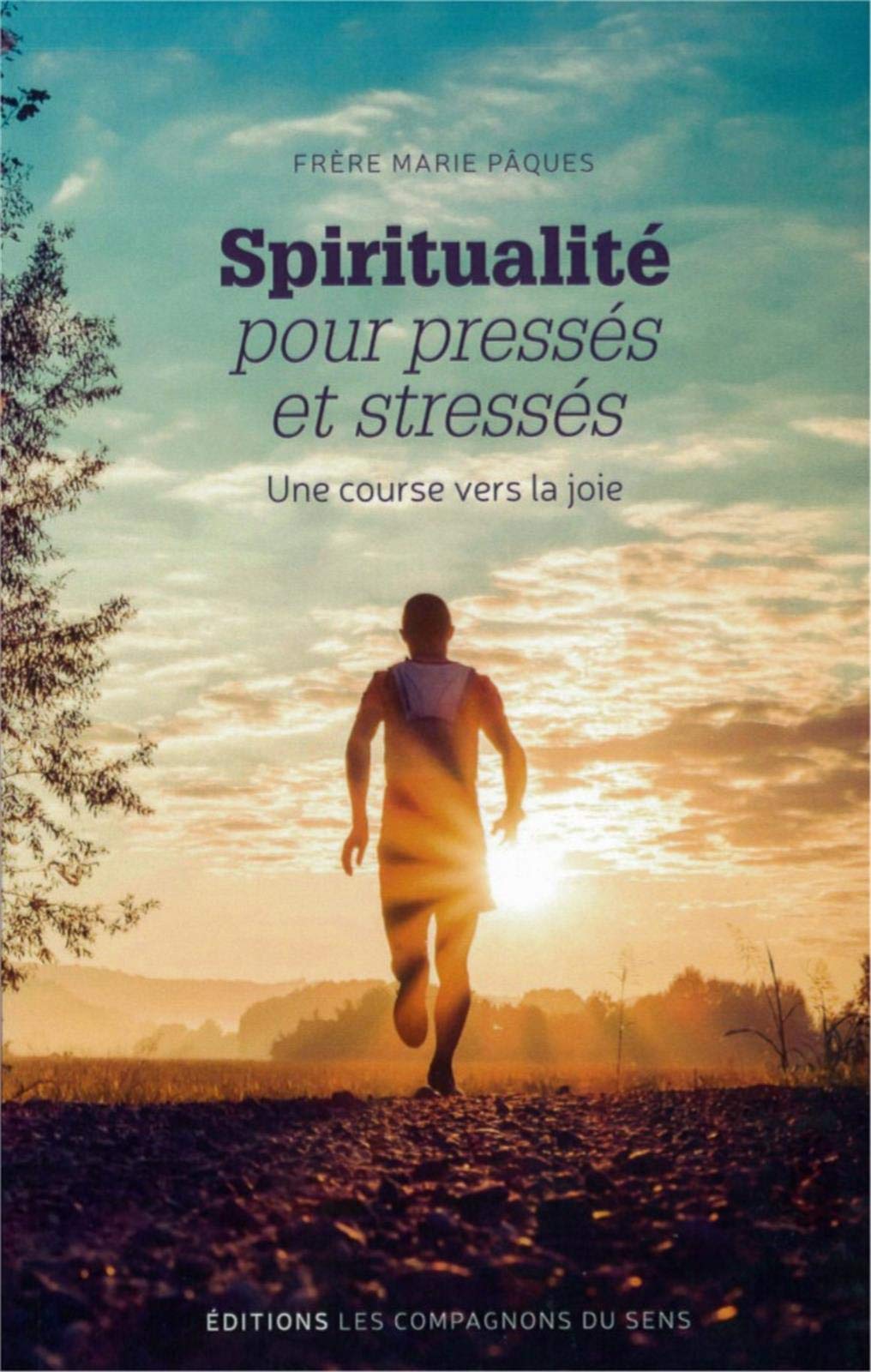 Spiritualité pour pressés et stressés book