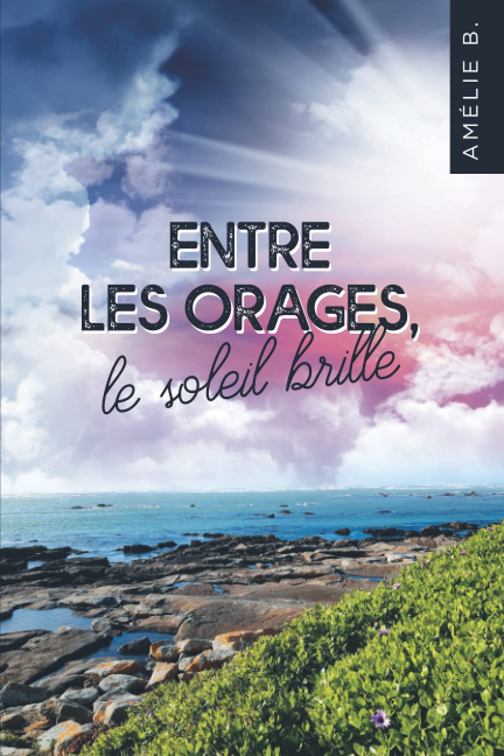 Entre les orages, le soleil brille: Une intrigue à l'image des côtes de Bretagne : escarpée, surprenante et romantique Contemporary literature