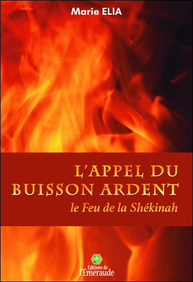 L'appel du buisson ardent : le feu de la Shékinah Religion & Esotericism