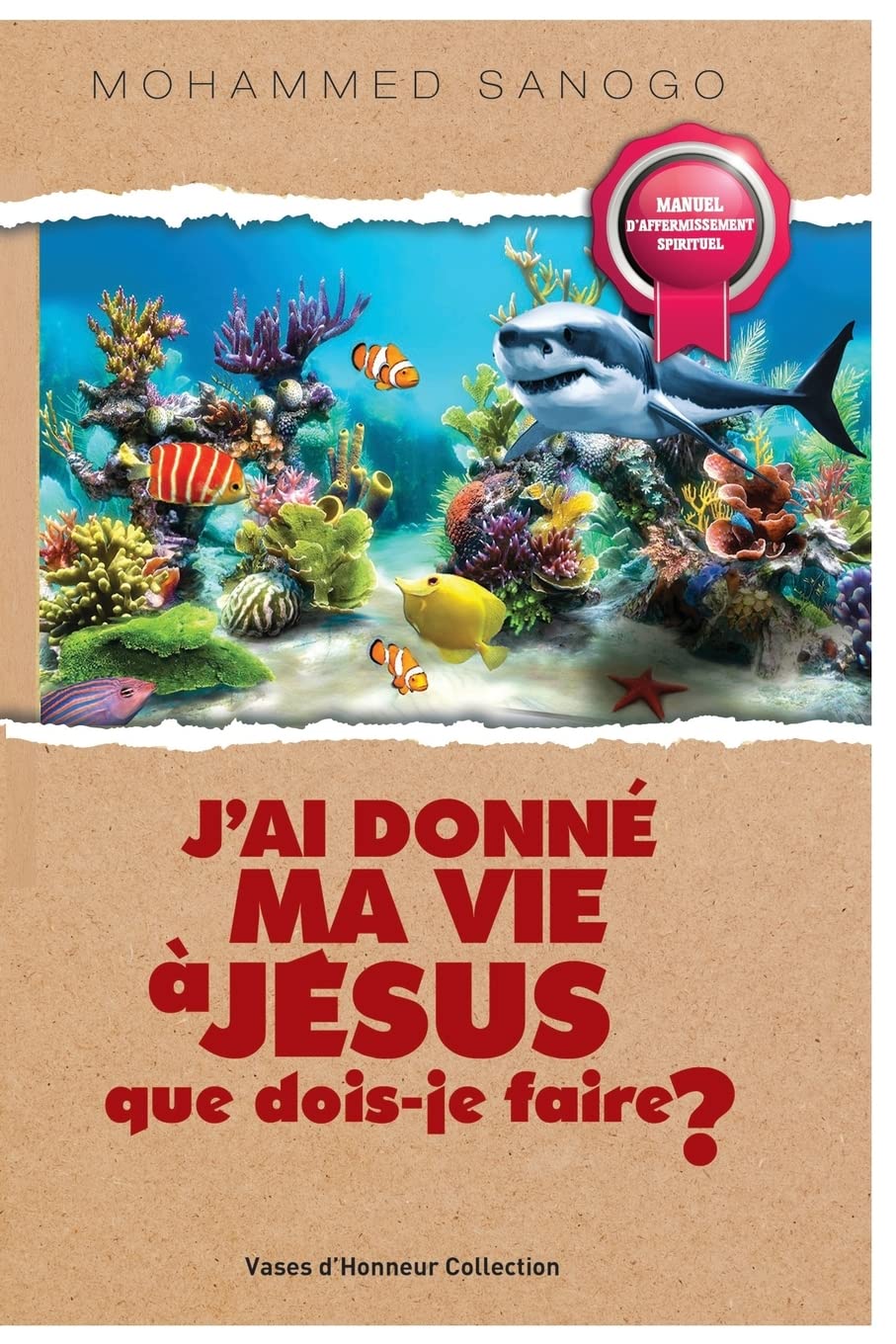 J'ai donné ma vie à Jésus que dois-je faire ? book