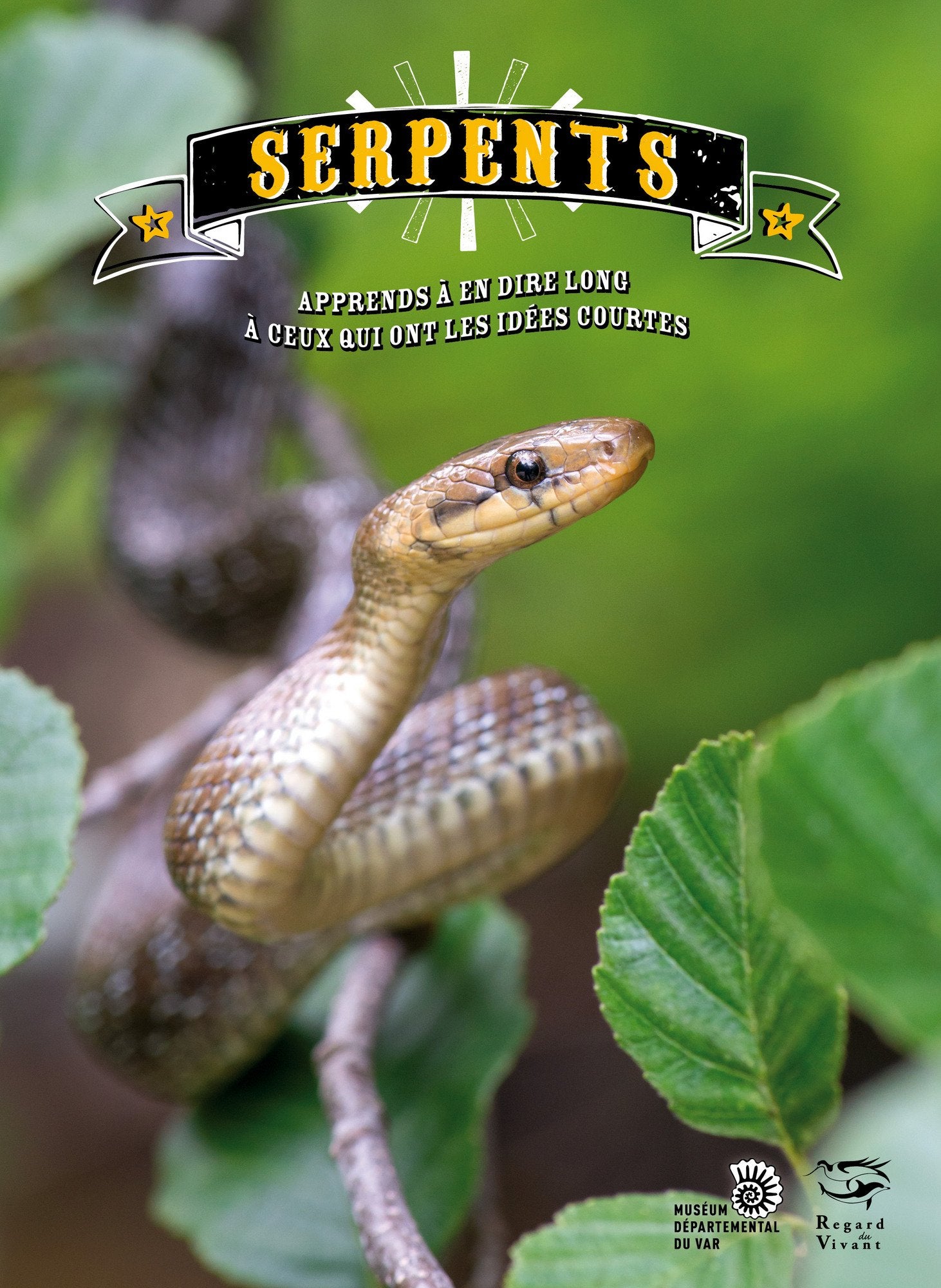 Serpents - Apprends à en dire long à ceux qui ont les idées courtes book