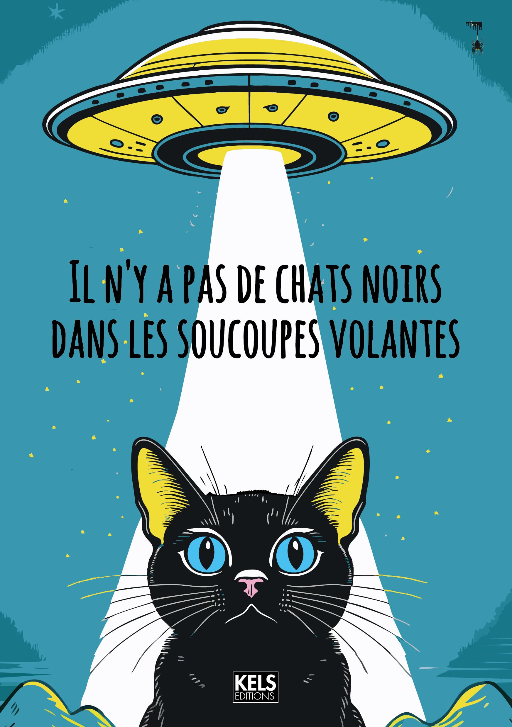 Il n'y a pas de chats noirs dans les soucoupes volantes: 2025 book