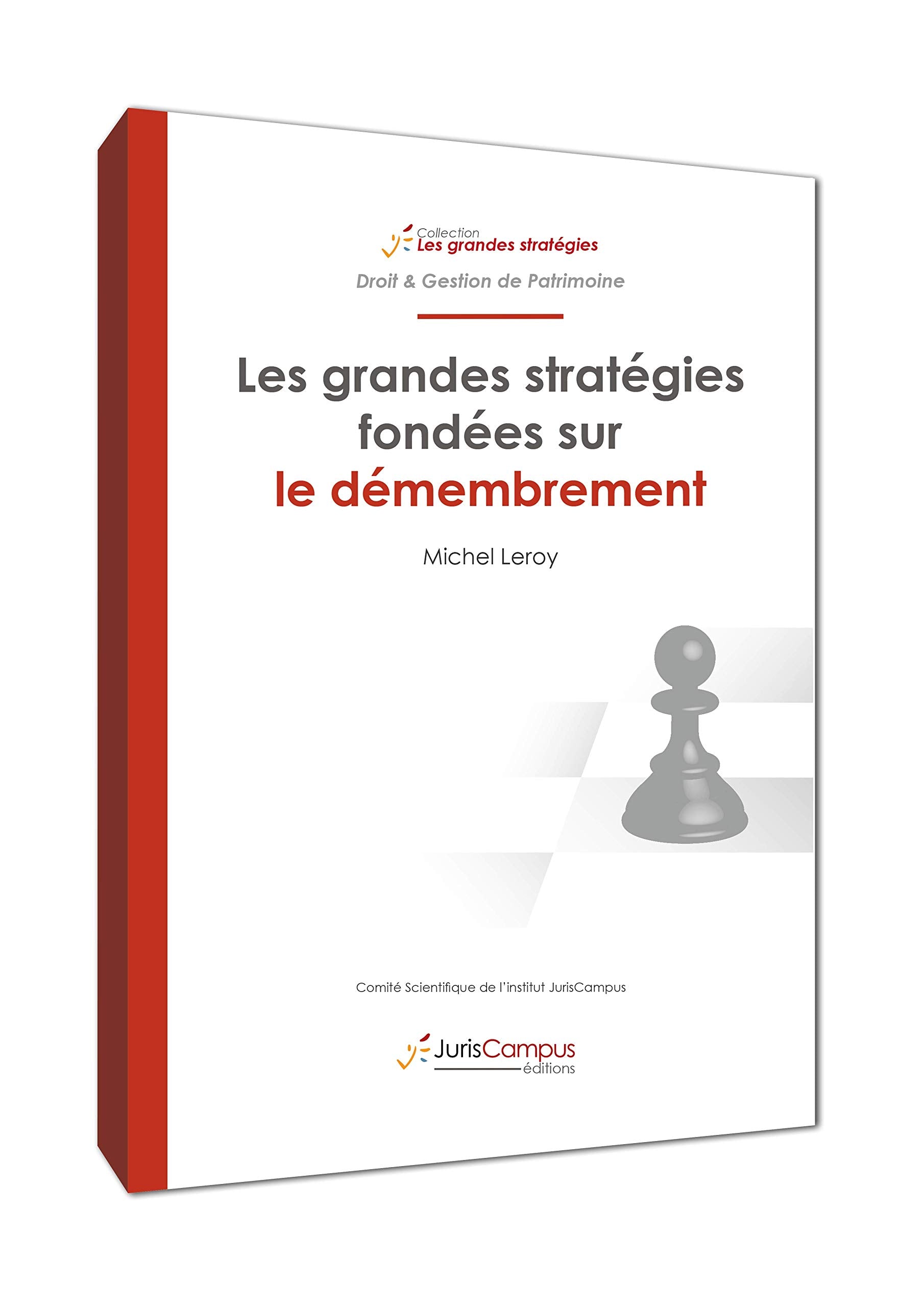 Les grandes stratégies fondées sur le démembrement Books