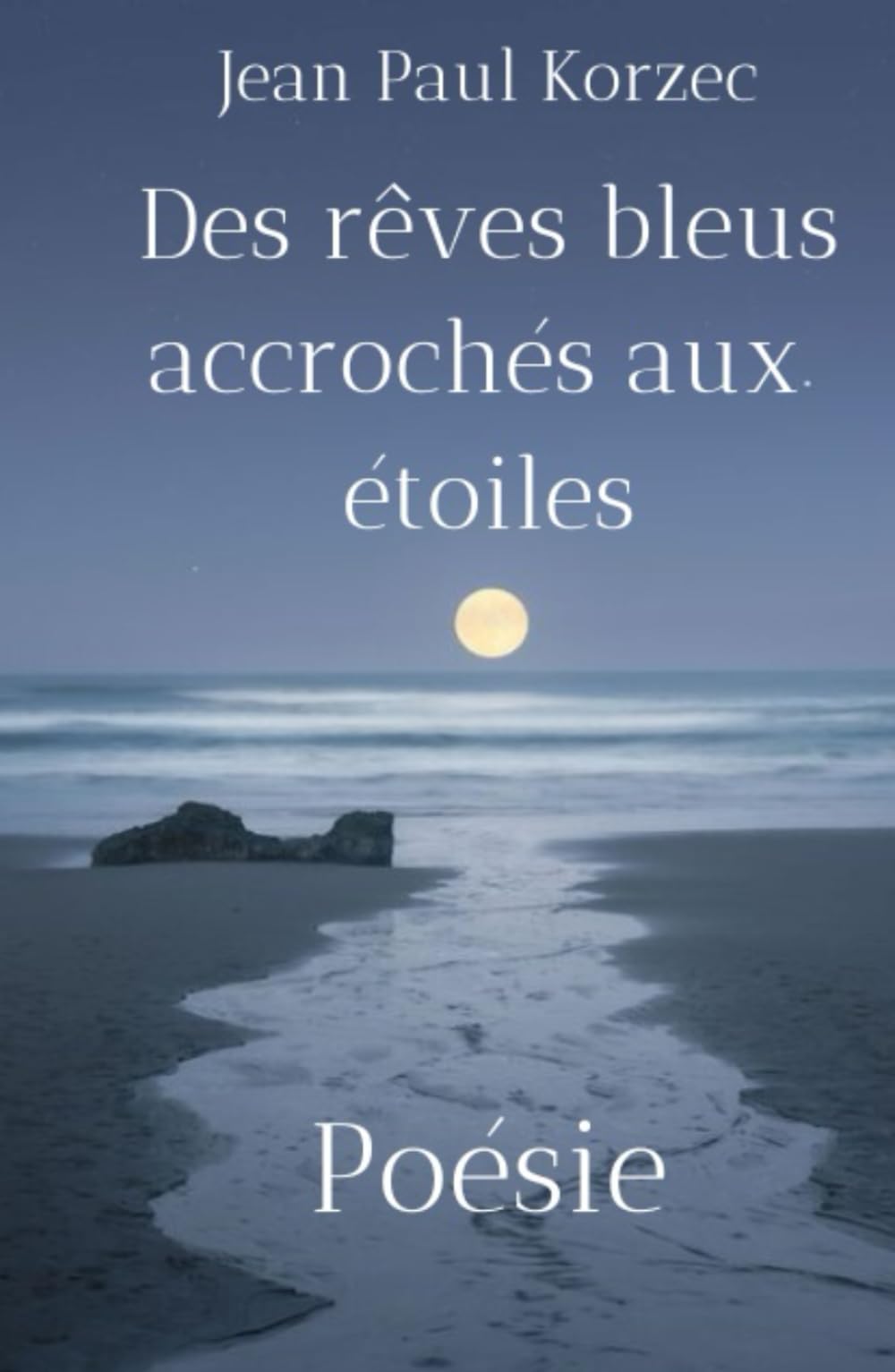 Des rêves bleus accrochés aux étoiles book