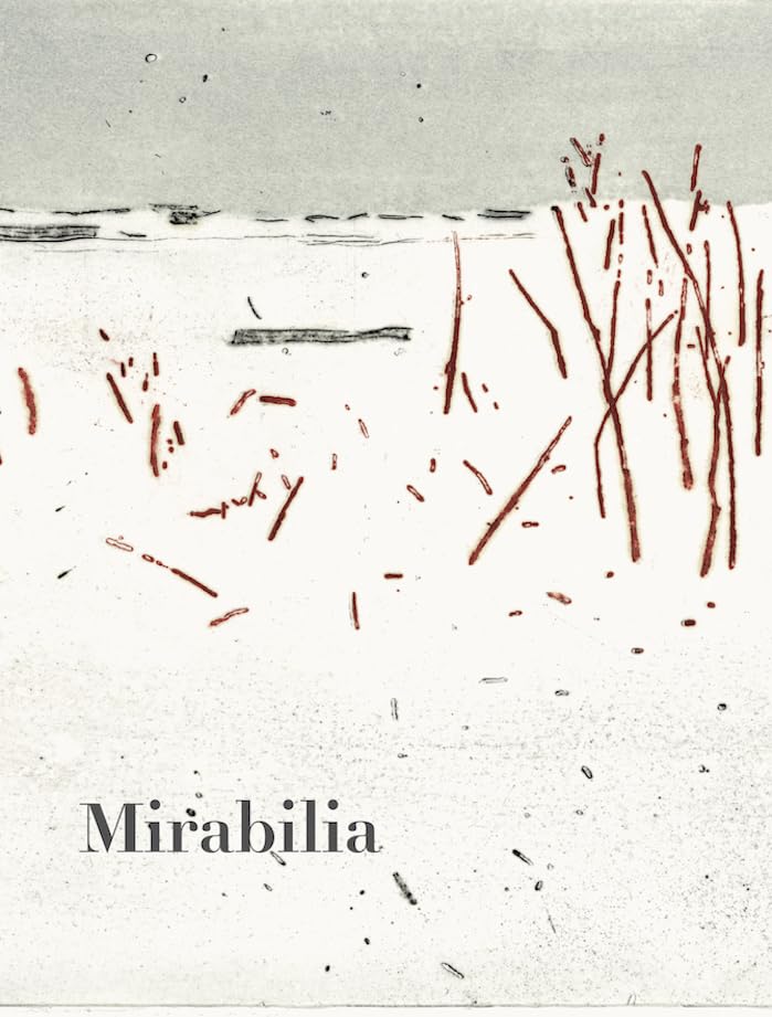 Mirabilia n°17 : La Patience - Hiver 2023 Essays & Short Stories