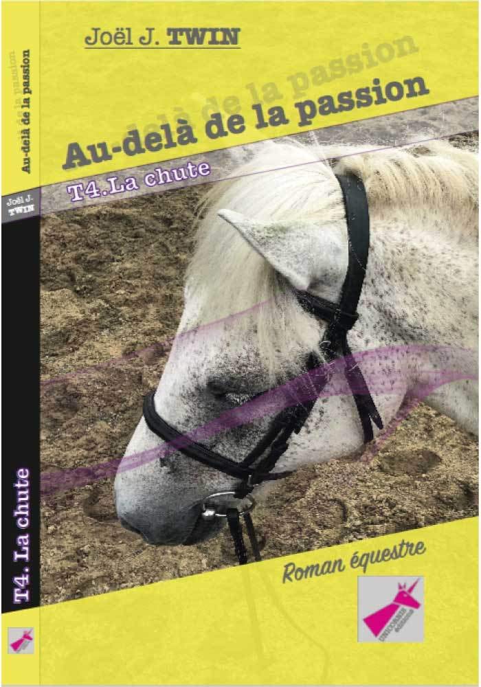 Au-delà de la passion, Tome 4 La chute book