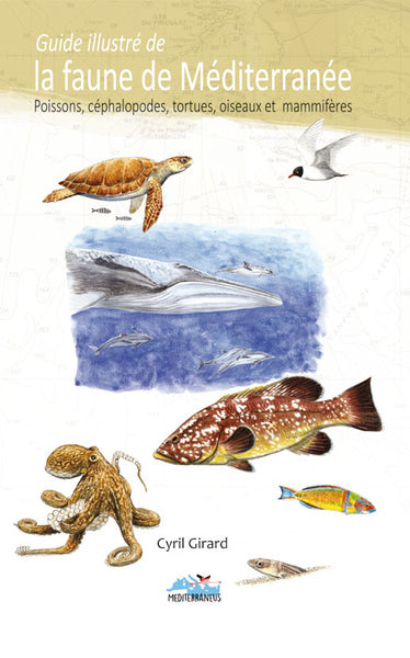 Guide illustré de la faune de Méditerranée : poissons, céphalopodes, tortues, oiseaux et mammifères Essays & Short Stories