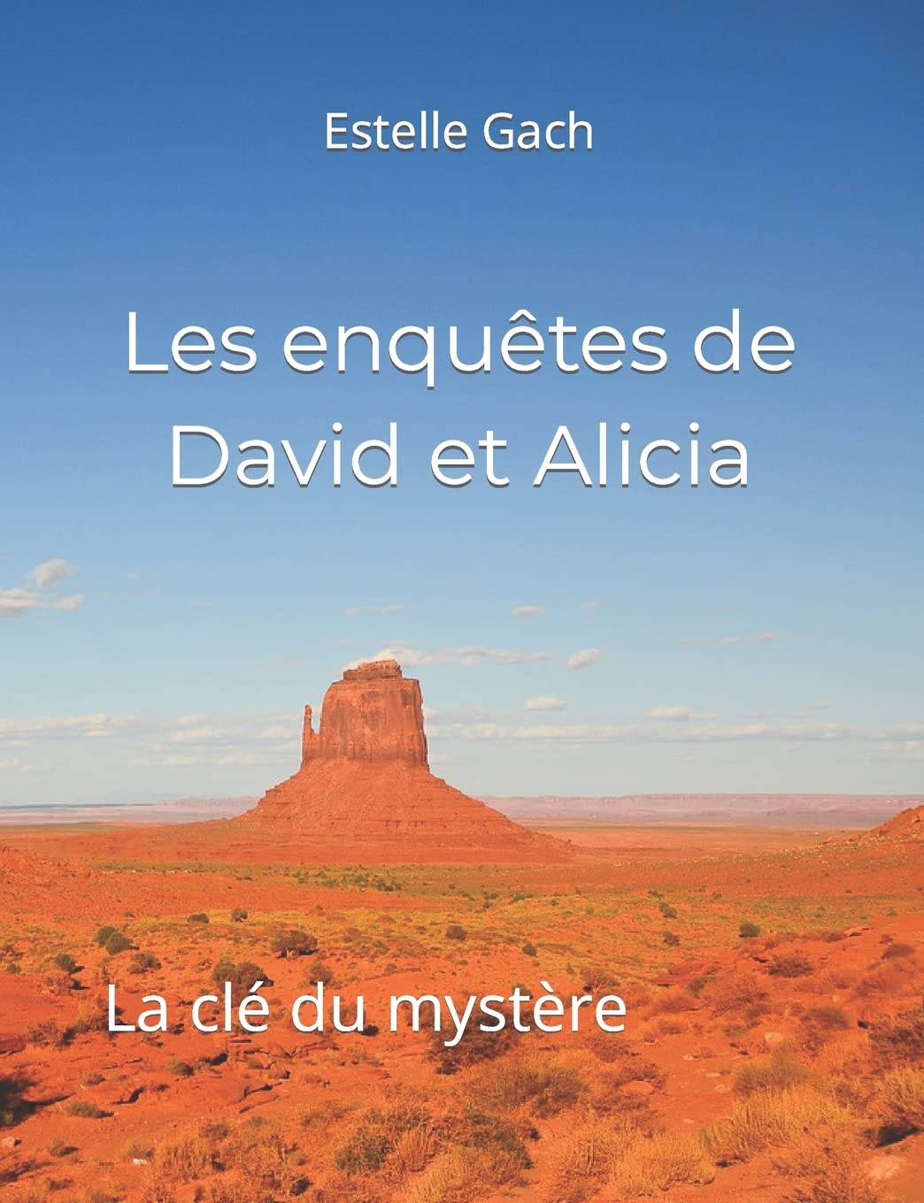 Les enquêtes de David et Alicia: La clé du mystère book