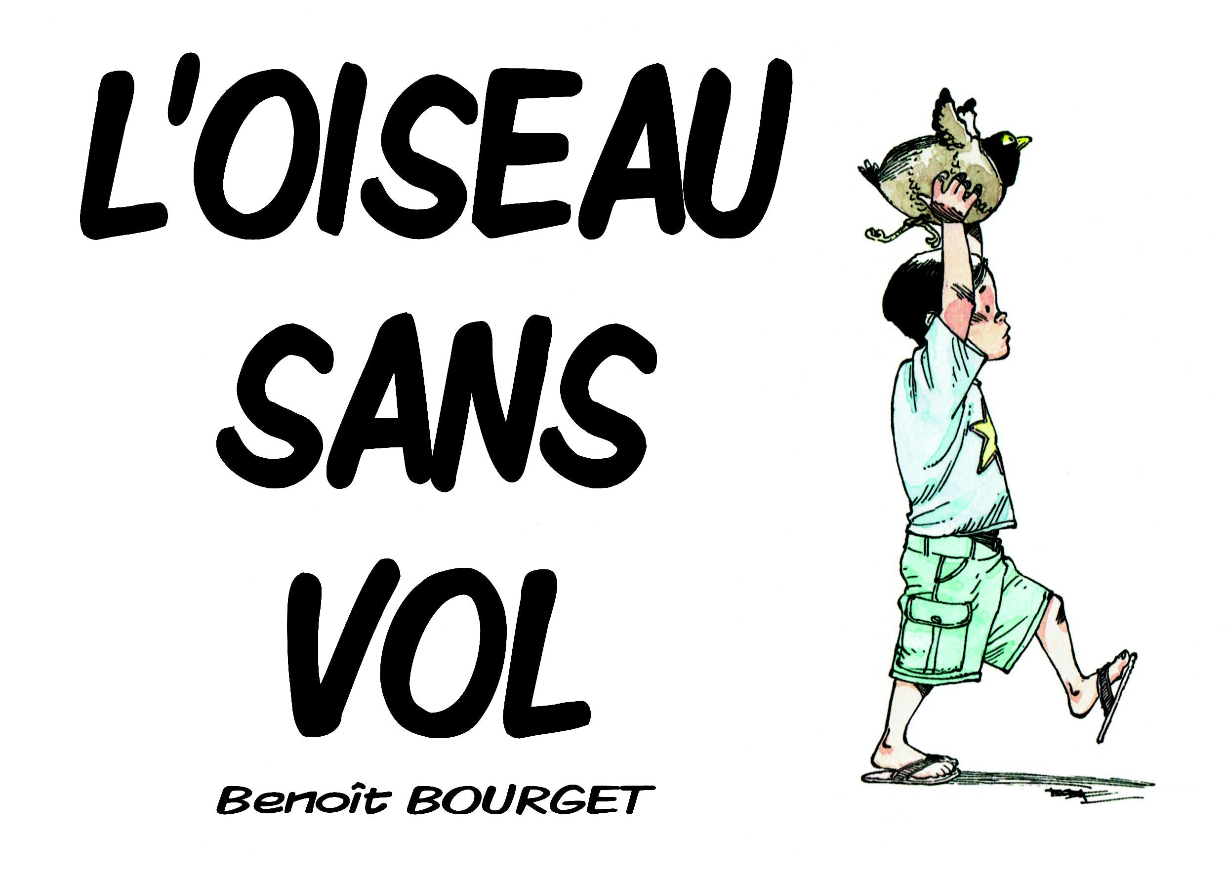 L'oiseau sans vol book