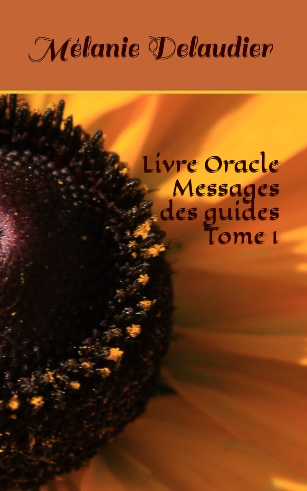 Livre Oracle Messages des guides Tome 1 book